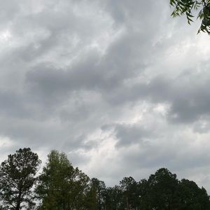 Meet your Posher, Isabel